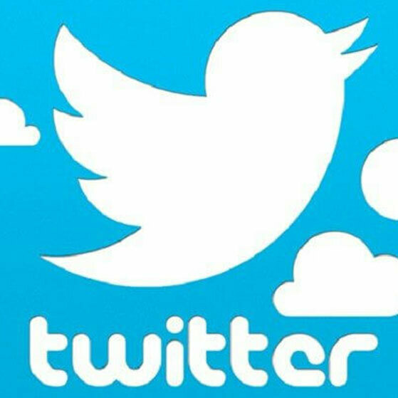Twitter logo with white bird and the word “twitter” on a blue background.