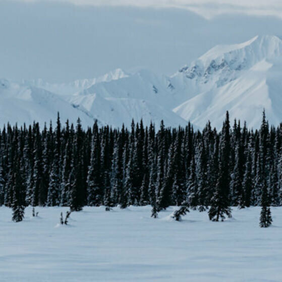 Snow-covered mountains rise behind a dense evergreen forest and snowy plain.